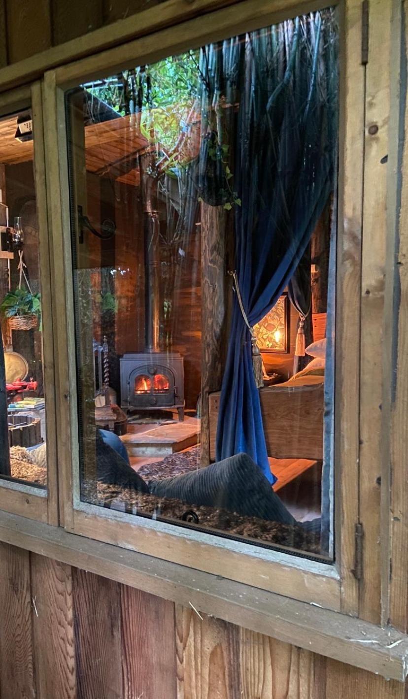 Jungle Cabin Martin Mill Exterior foto
